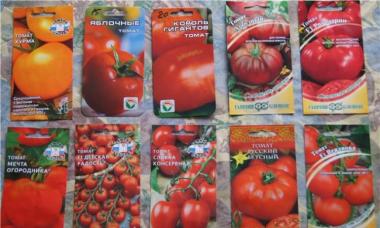 The best varieties of tomatoes for greenhouses - unpretentiousness and taste in one tomato