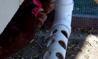 Jak vyrobit krmítko a napáječku pro kuřata vlastníma rukama